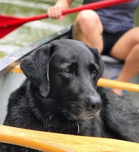 Original reference photo