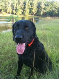 Original reference photo