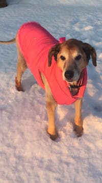 Original reference photo