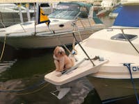 Original reference photo