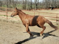 Original reference photo