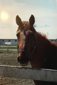 Original reference photo