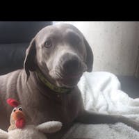 Original reference photo