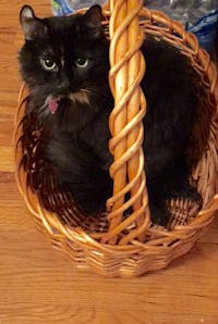 Original reference photo