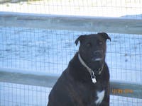 Original reference photo