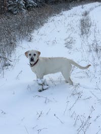 Original reference photo