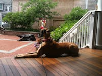 Original reference photo