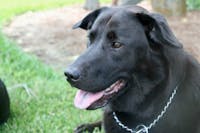 Original reference photo