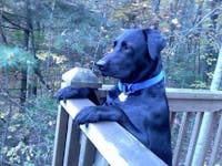 Original reference photo