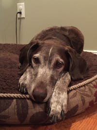 Original reference photo