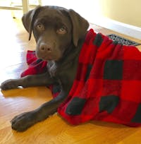 Original reference photo