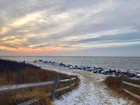 Original reference photo