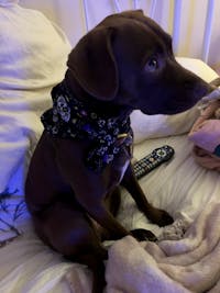 Original reference photo