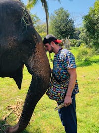 Original reference photo