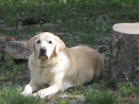 Original reference photo