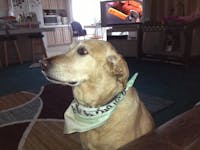 Original reference photo