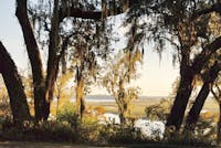 Original reference photo