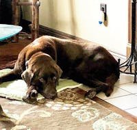 Original reference photo