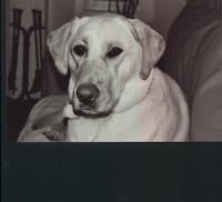 Original reference photo