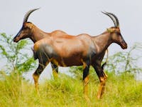 Original reference photo