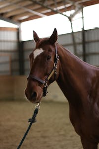 Original reference photo