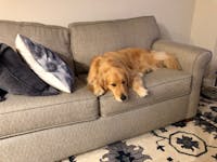 Original reference photo