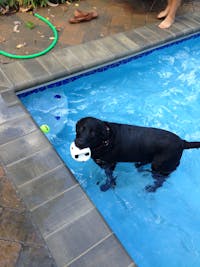 Original reference photo