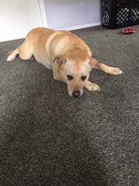 Original reference photo