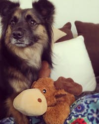 Original reference photo