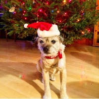 Original reference photo