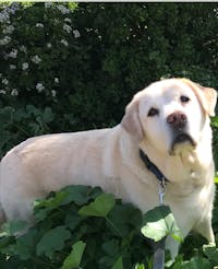 Original reference photo