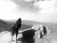 Original reference photo