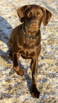 Original reference photo