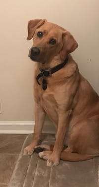 Original reference photo