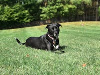 Original reference photo