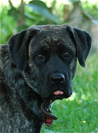 Original reference photo