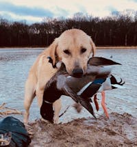 Original reference photo