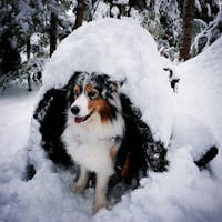 Original reference photo