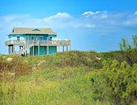 Original reference photo