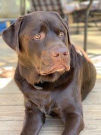 Original reference photo