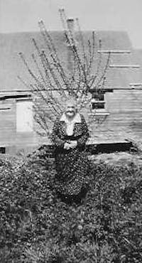 Original reference photo