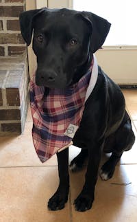 Original reference photo