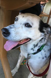 Original reference photo