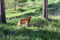 Original reference photo