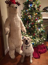 Original reference photo