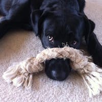 Original reference photo