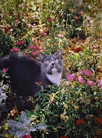 Original reference photo