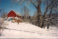 Original reference photo