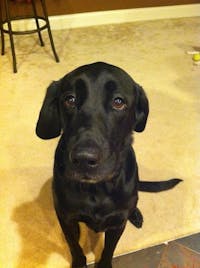 Original reference photo