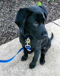 Original reference photo